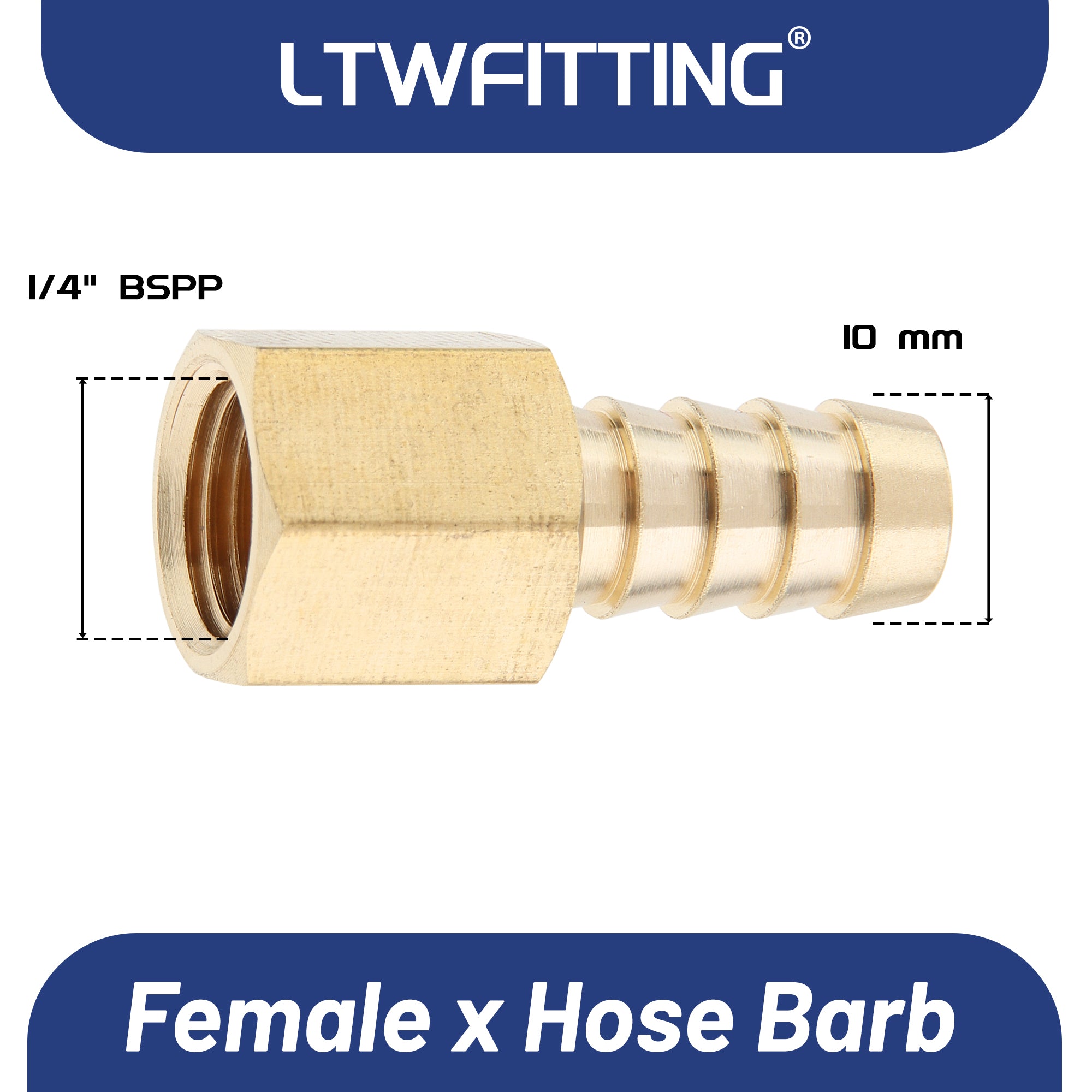LTWFITTING Messing Fittings Anschluss 1/4" Innengewinde IG x 10 mm Schlauch