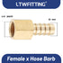 LTWFITTING Messing Fittings Anschluss 1/4" Innengewinde IG x 10 mm Schlauch