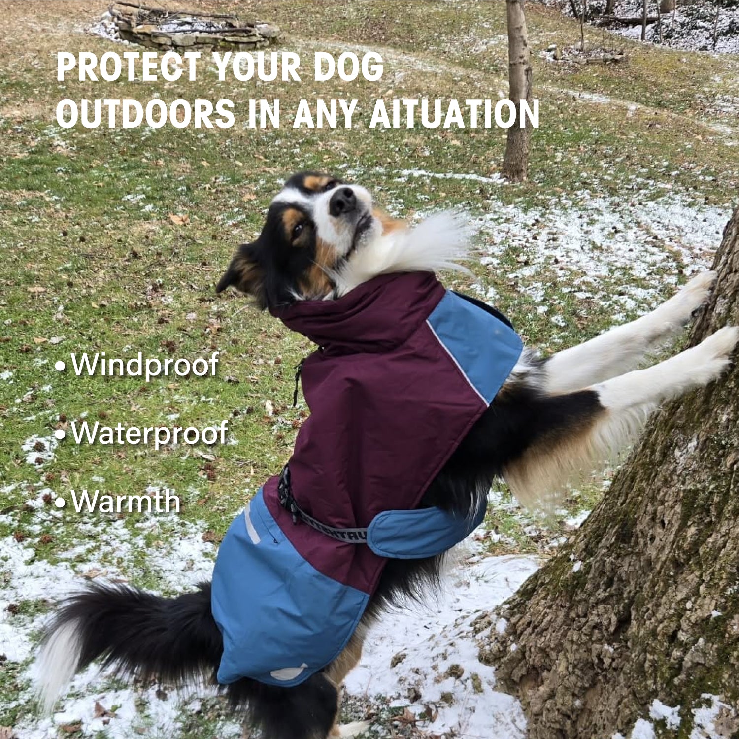 IFOURTHSTYLE Wasserdicht Hundemantel Wintermantel