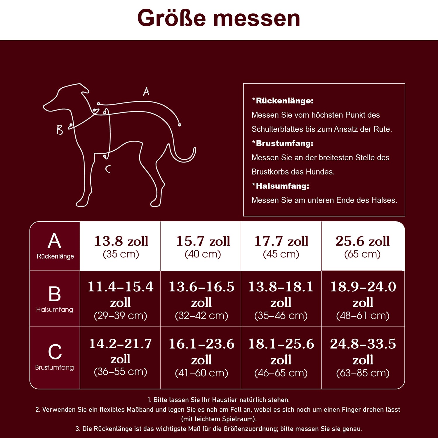 IFOURTHSTYLE Wasserdichte Winterjacke und Regenmantel für Hunde 2-teiliges Set
