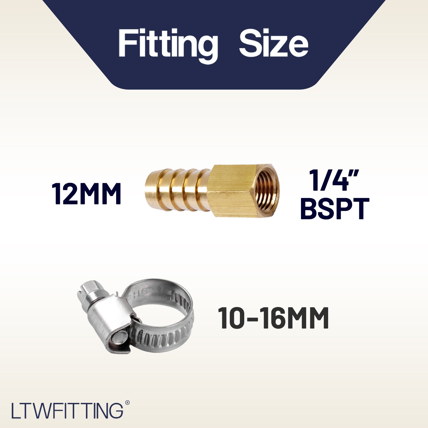 LTWFITTING 2er Set Schlauchtülle 1/4" BSP x 12mm ID Messingkupplung mit Edelstahl 316 Schlauchschelle 10-16mm