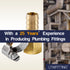 LTWFITTING 2er Set Schlauchtülle 1/2" BSP x 12mm ID Messingkupplung mit Edelstahl 316 Schlauchschelle 10-16mm