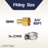 LTWFITTING 2er Set Schlauchtülle 3/4" BSP x 19mm ID Messingkupplung mit Edelstahl 316 Schlauchschelle 14-27mm