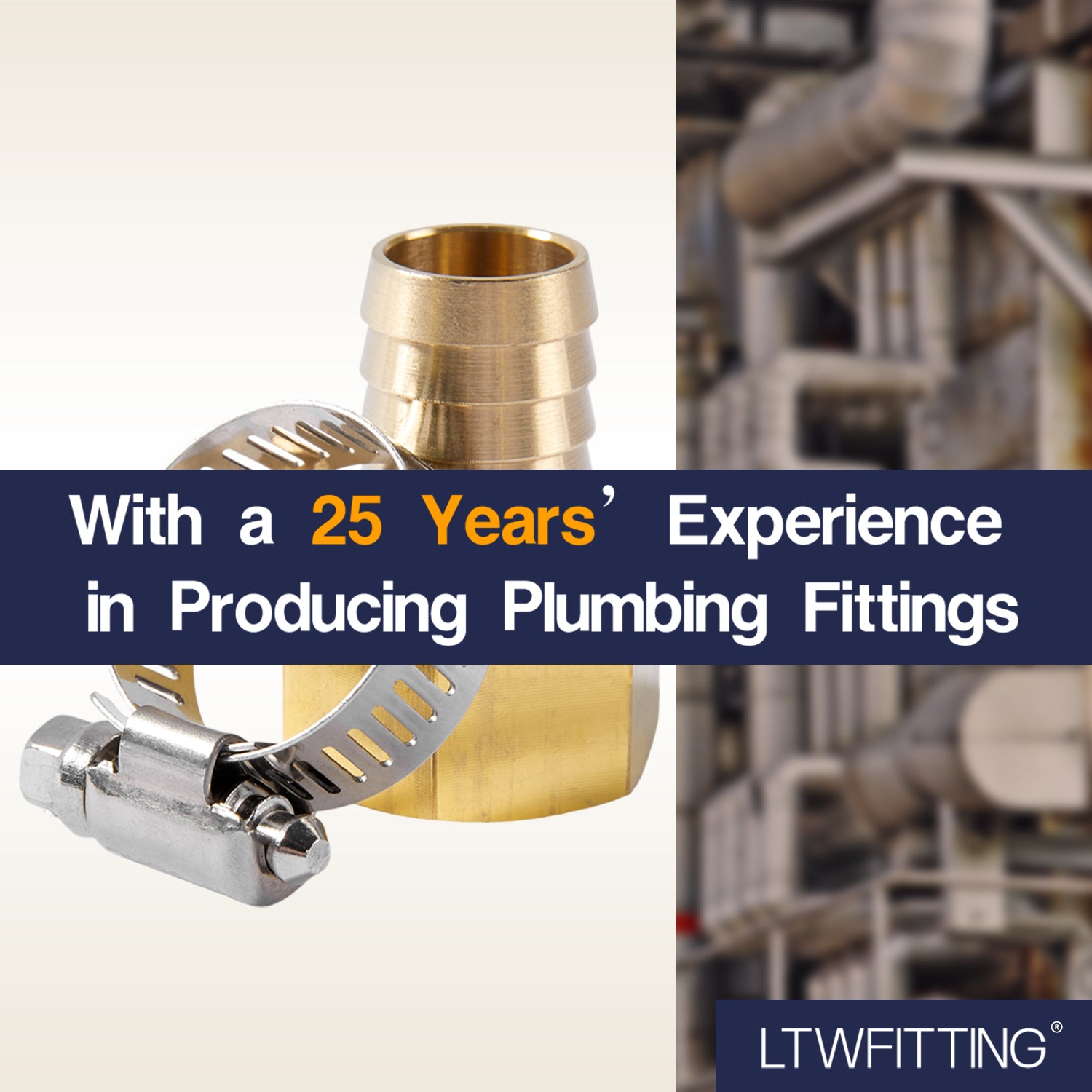 LTWFITTING 2er Set Schlauchtülle 3/4" BSP x 19mm ID Messingkupplung mit Edelstahl 316 Schlauchschelle 14-27mm