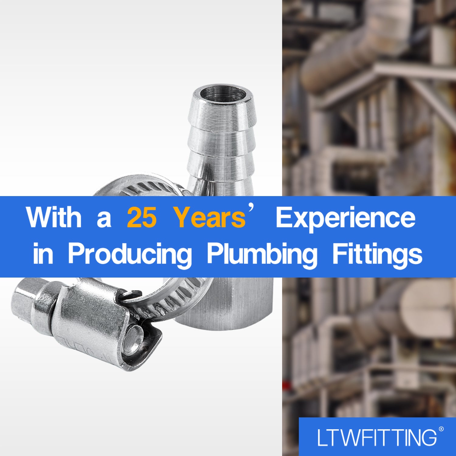 LTWFITTING 2er Set Schlauchtülle 1/4" BSP x 10mm ID Edelstahl 316 Kupplung mit Schlauchschelle 10-16mm