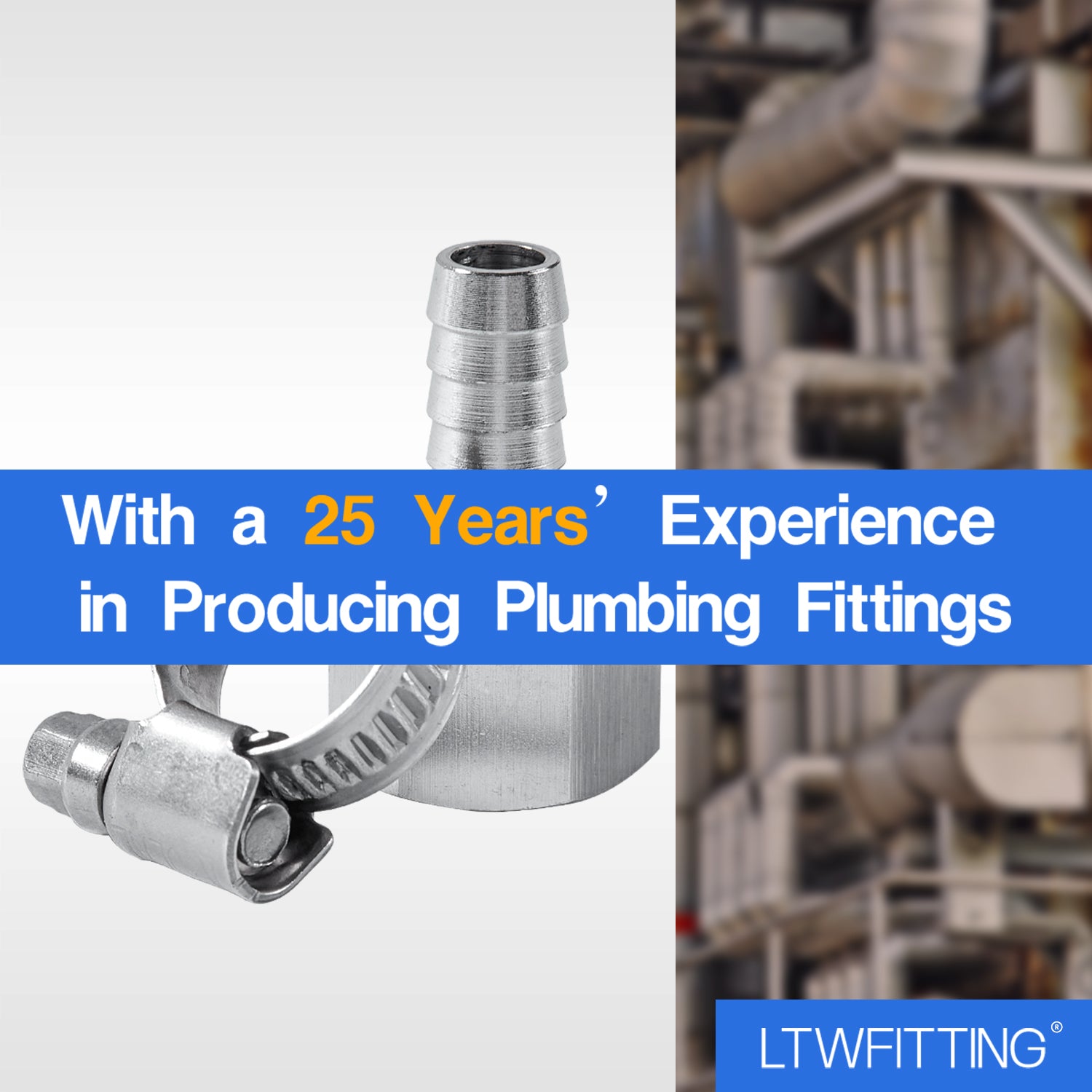 LTWFITTING 2er Set Schlauchtülle 1/2" BSP x 10mm ID Edelstahl 316 Kupplung mit Schlauchschelle 10-16mm
