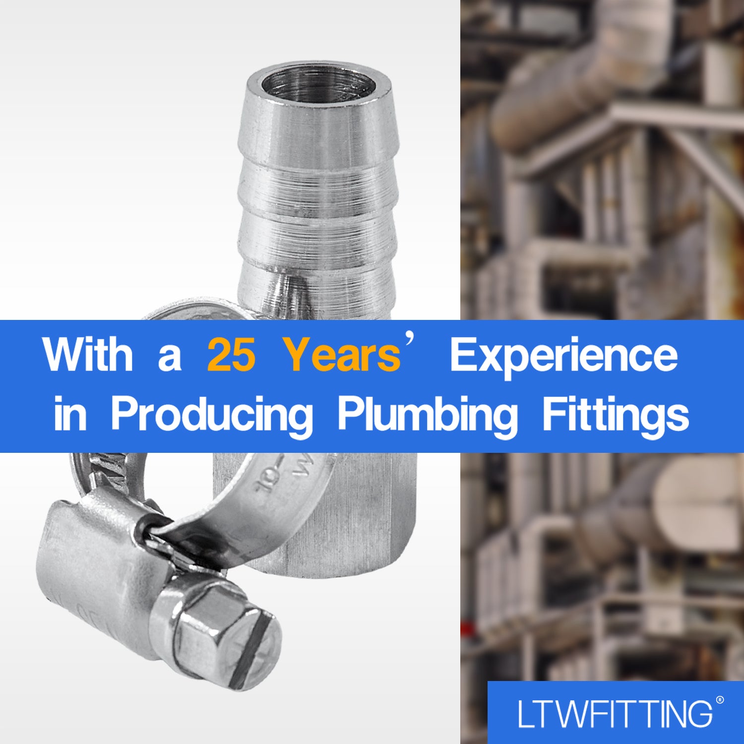 LTWFITTING 2er Set Schlauchtülle 1/4" BSP x 12mm ID Edelstahl 316 Kupplung mit Schlauchschelle 10-16mm