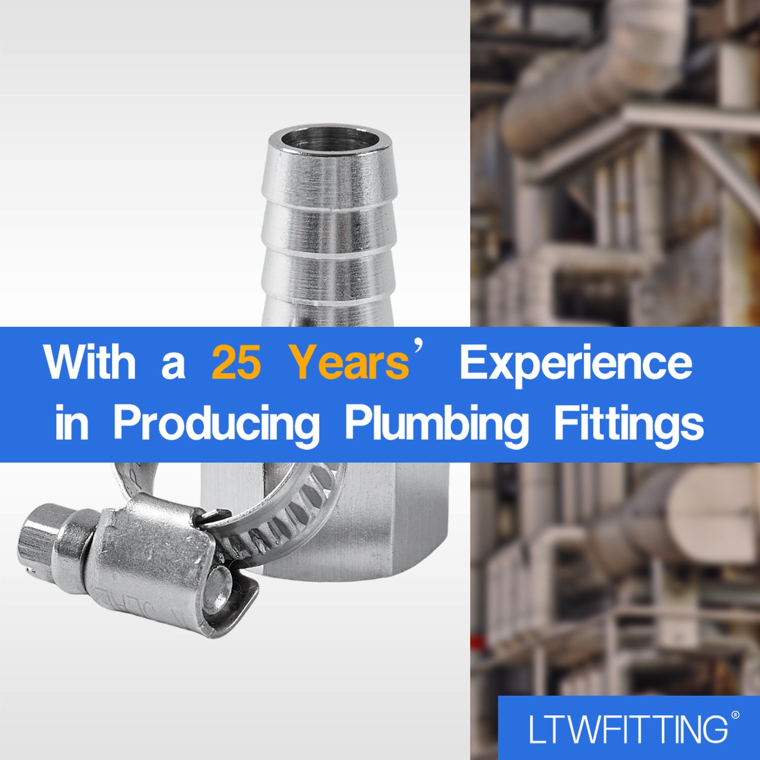 LTWFITTING 2er Set Schlauchtülle 1/2" BSP x 12mm ID Edelstahl 316 Kupplung mit Schlauchschelle 10-16mm