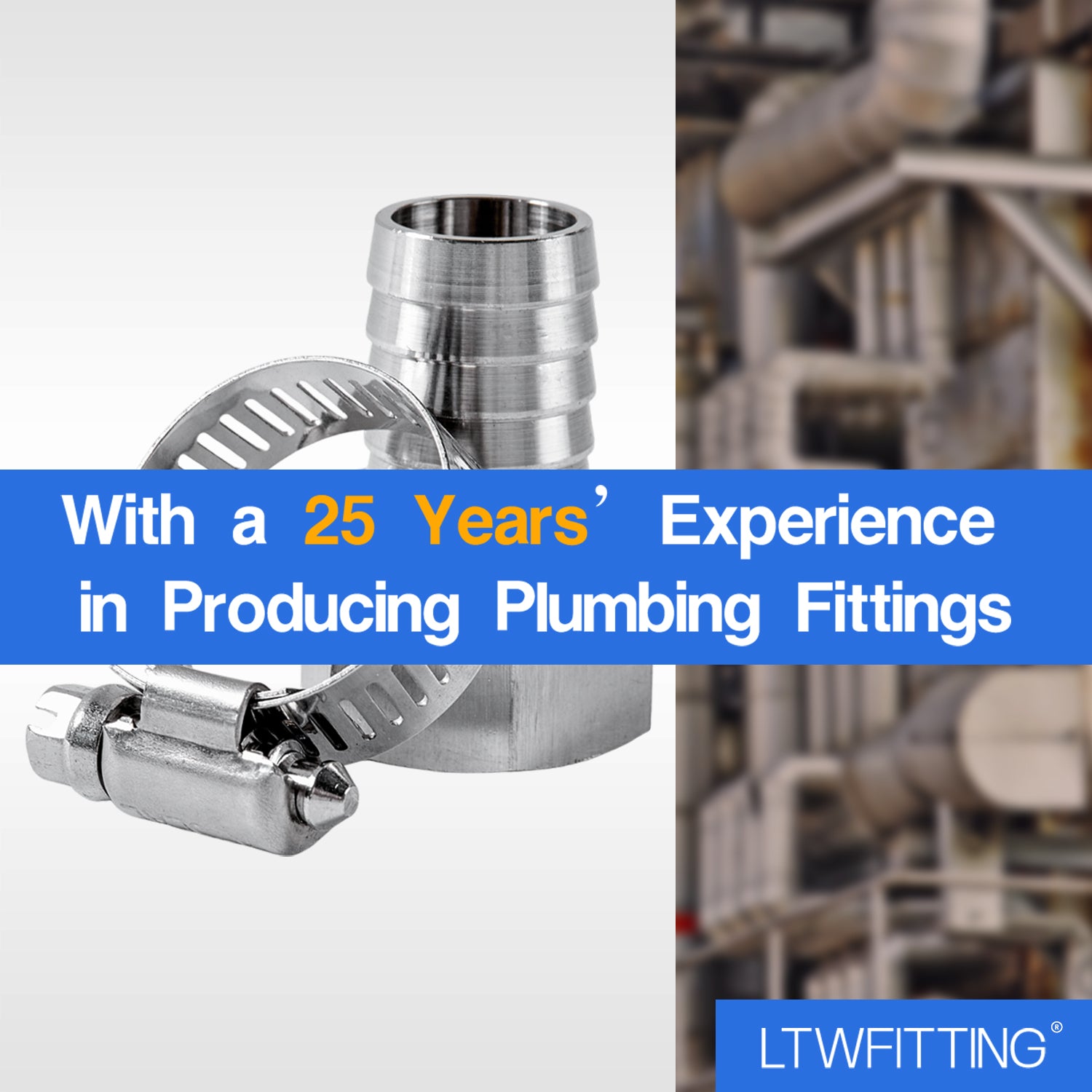 LTWFITTING 2er Set Schlauchtülle 3/4" BSP x 19mm ID Edelstahl 316 Kupplung mit Schlauchschelle 14-27mm